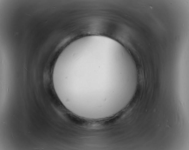 X0000085280208200703301923