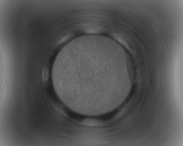 X0000085280211200703301923