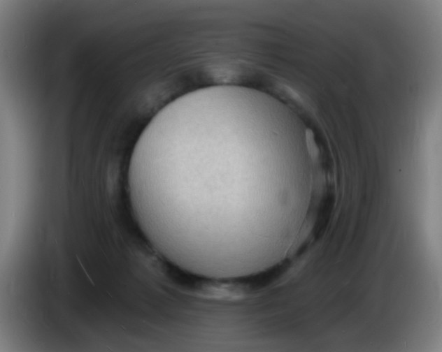 X0000085280221200703301923