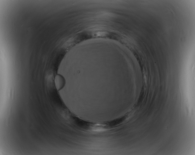 X0000085280222200703301923