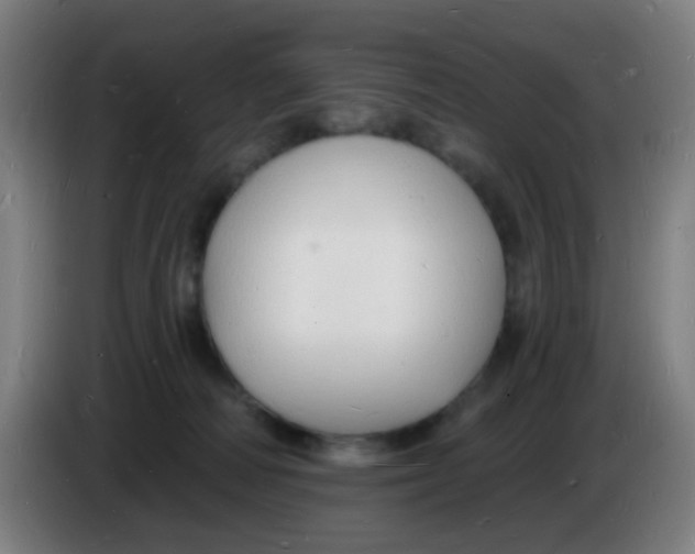 X0000085280226200703301923