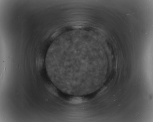 X0000085280227200703301923