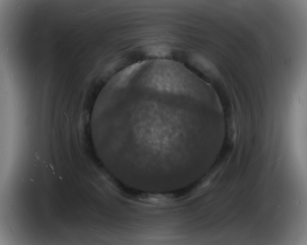 X0000085280229200703301923