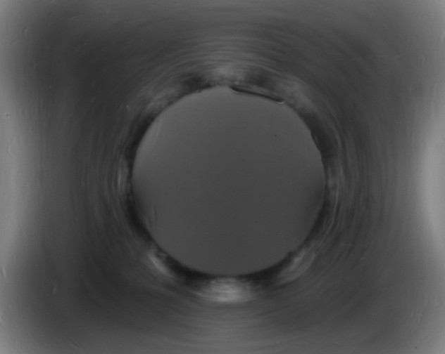 X0000085280231200703301923