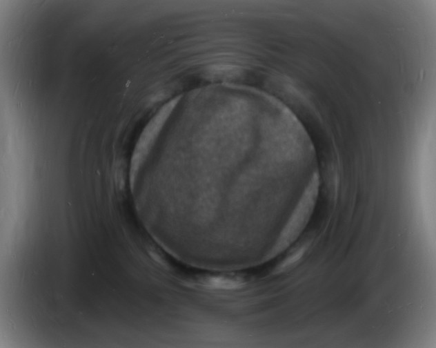 X0000085280232200703301923