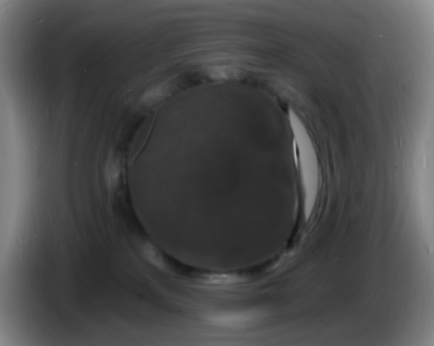 X0000085280233200703301923