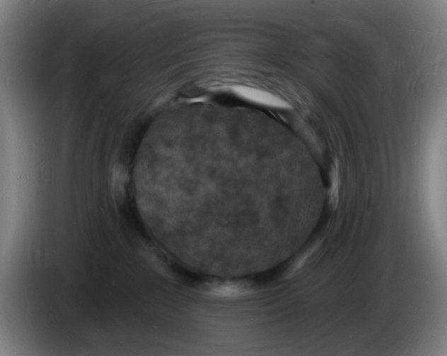 X0000085280235200703301923