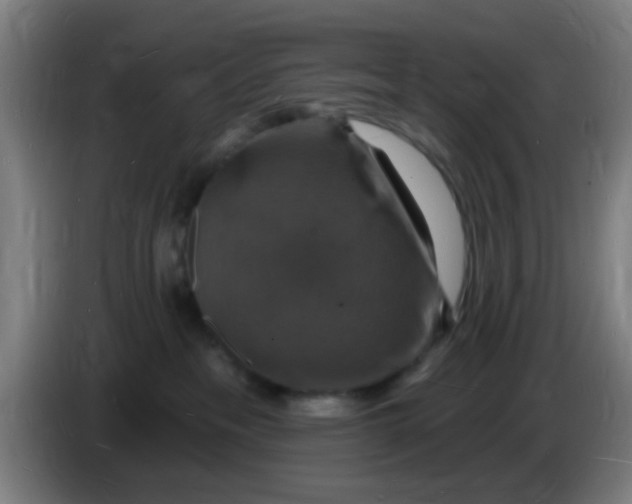 X0000085280237200703301923