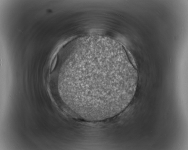 X0000085280241200703301922