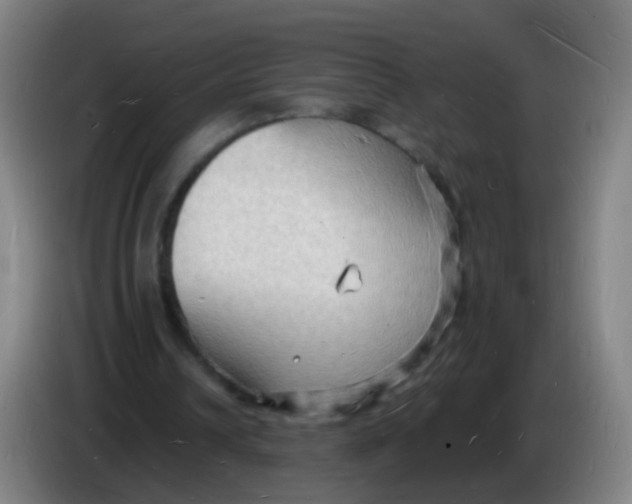 X0000085280242200703301922