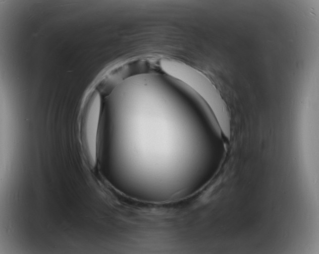 X0000085280244200703301922