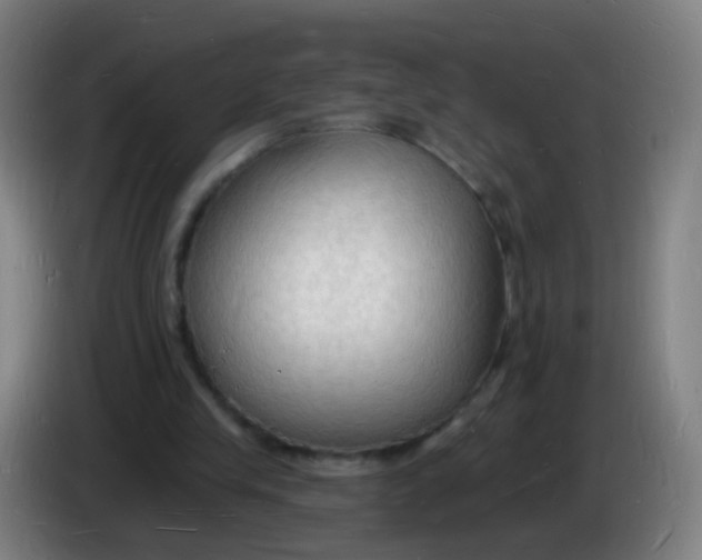 X0000085280245200703301922