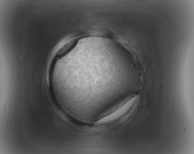 X0000085280246200703301922