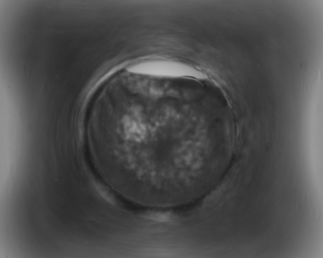 X0000085280247200703301922