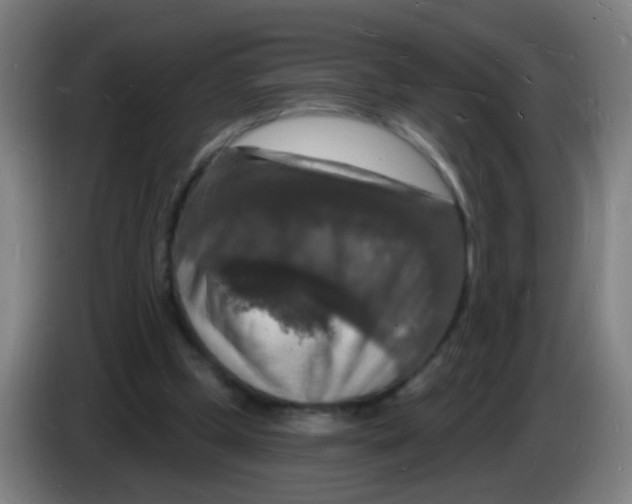 X0000085280249200703301922