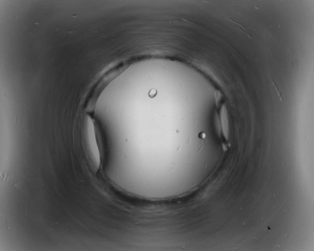 X0000085280252200703301922