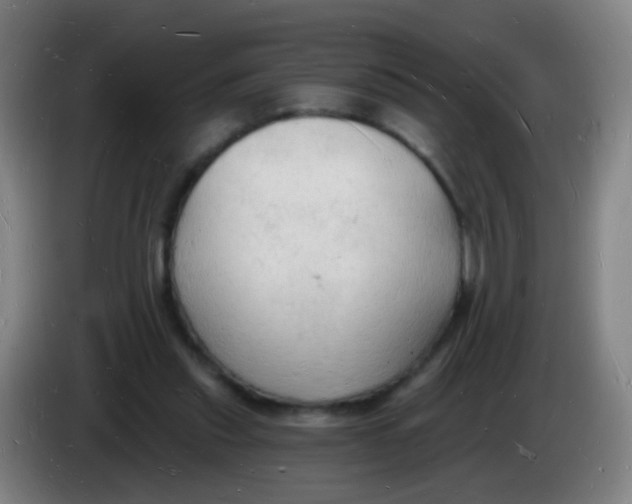 X0000085280253200703301922