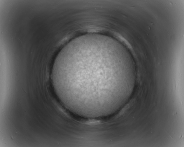 X0000085280257200703301922