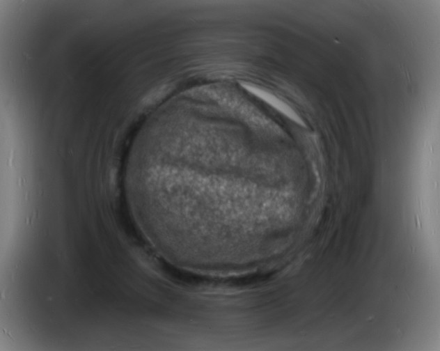 X0000085280258200703301922