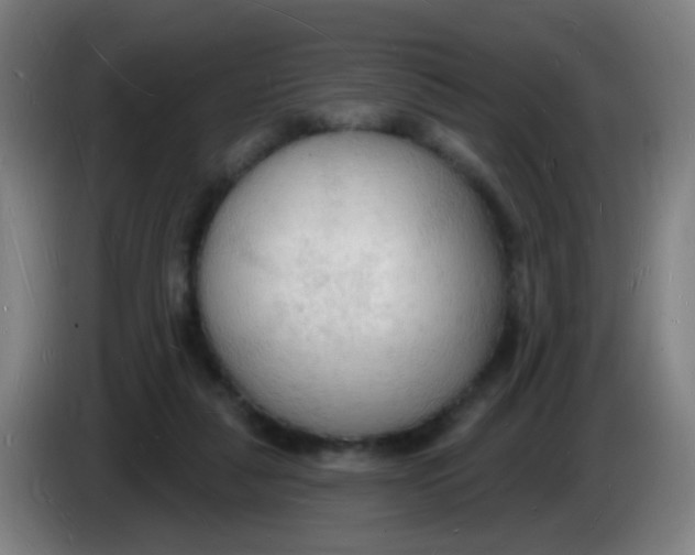 X0000085280259200703301922