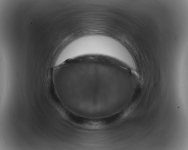 X0000085280260200703301922