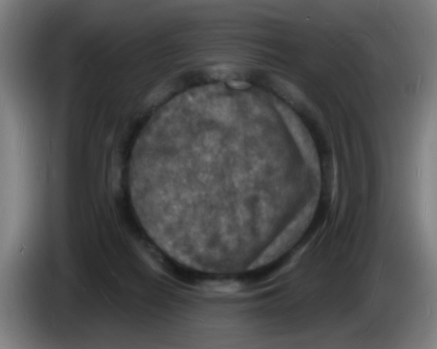 X0000085280266200703301922