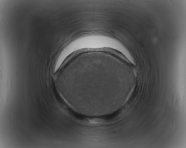 X0000085280268200703301922