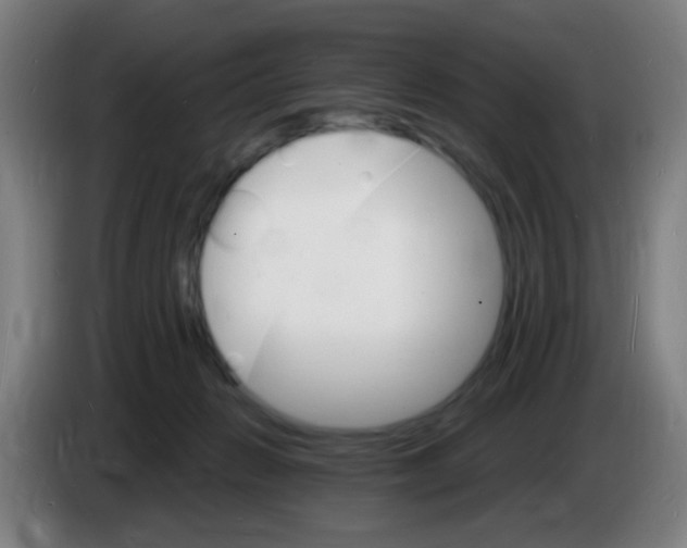 X0000085280270200703301922