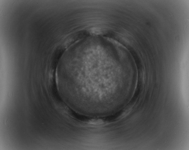 X0000085280271200703301922