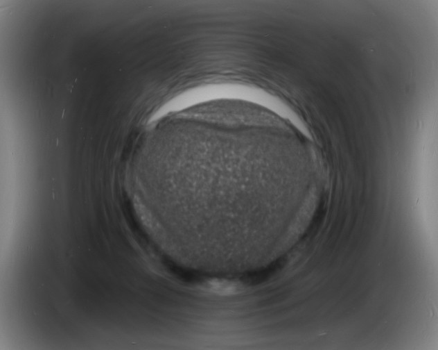 X0000085280272200703301922