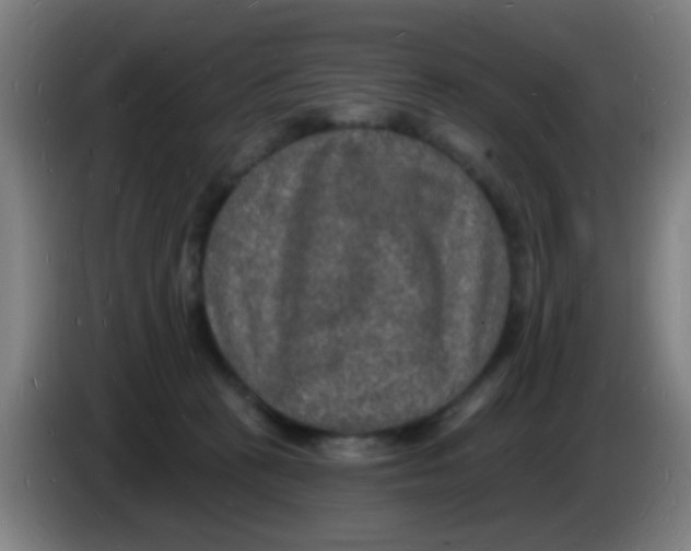 X0000085280273200703301922