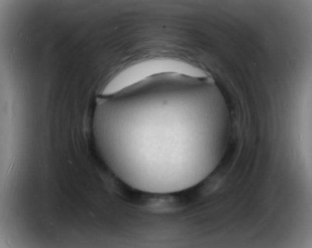 X0000085280274200703301922