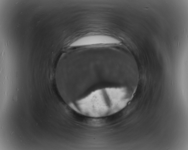 X0000085280277200703301922