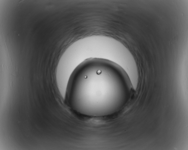 X0000085280280200703301922