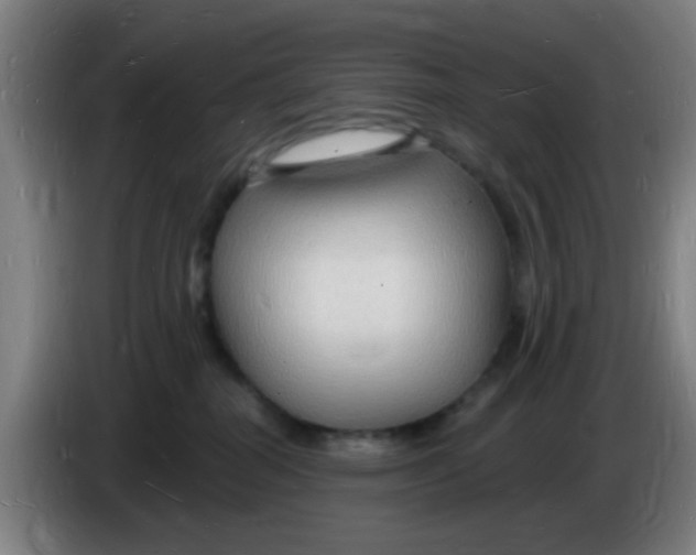 X0000085280282200703301922