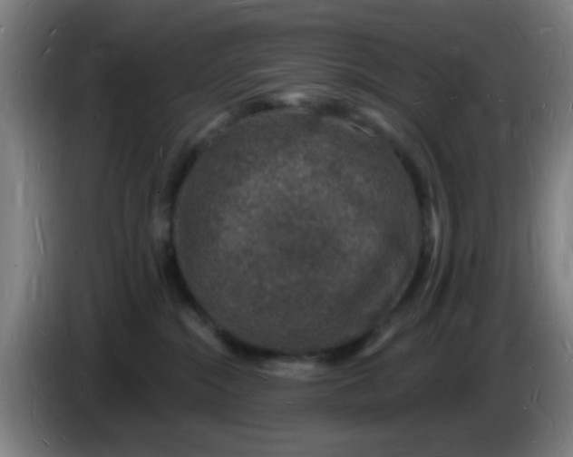 X0000085280284200703301923