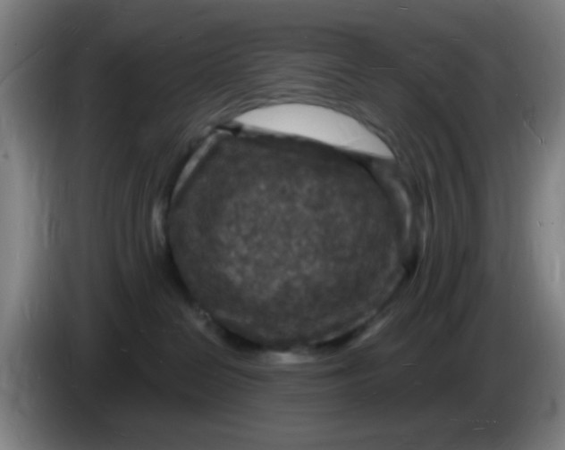 X0000085280286200703301923