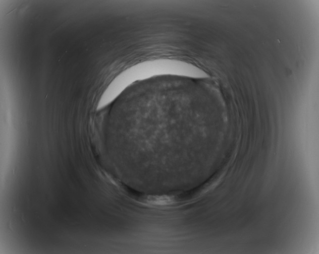 X0000085280288200703301923