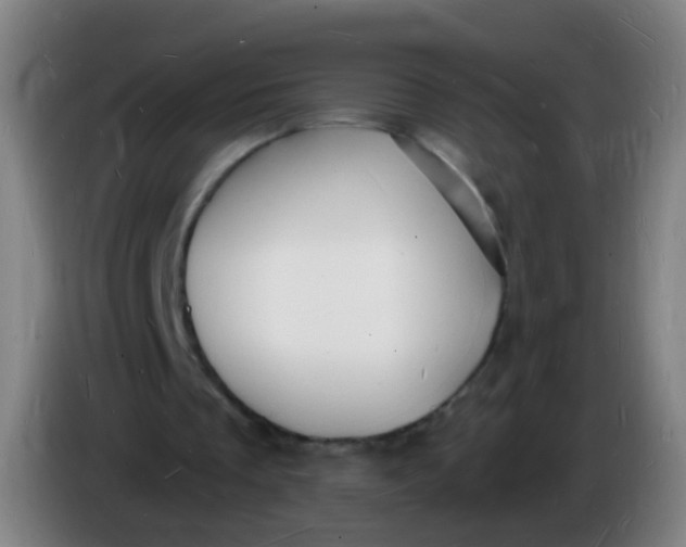 X0000085280289200703301922