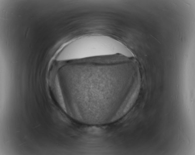 X0000085280290200703301922