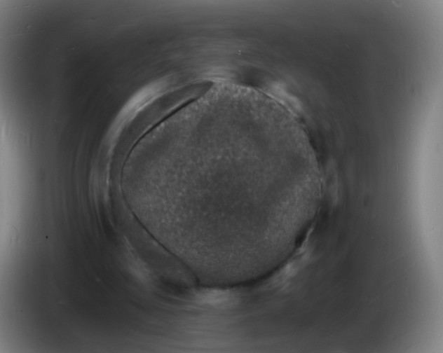 X0000085280293200703301922