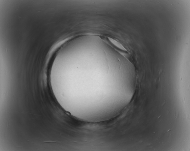 X0000085280294200703301922