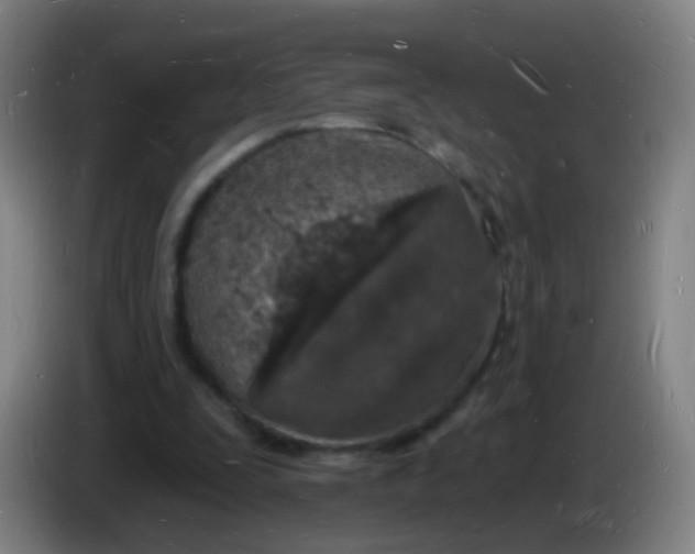 X0000085280295200703301922