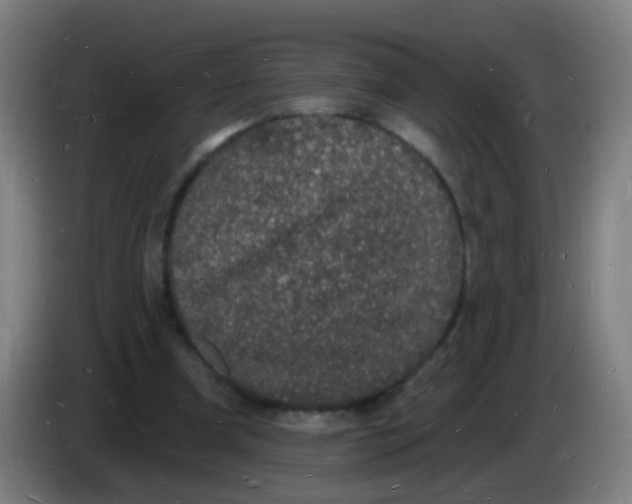 X0000085280297200703301922