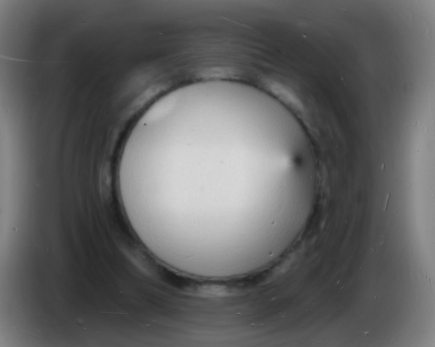 X0000085280298200703301922