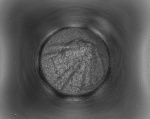 X0000085280299200703301922