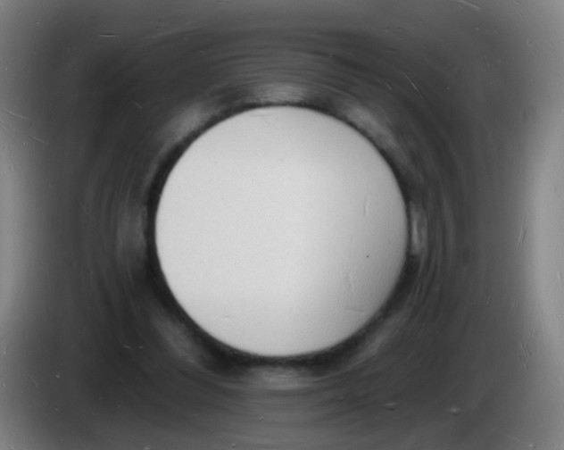 X0000085280300200703301922