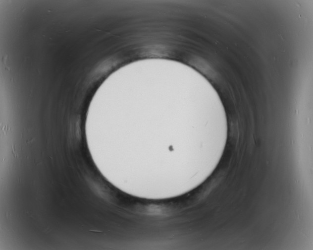 X0000085280302200703301922