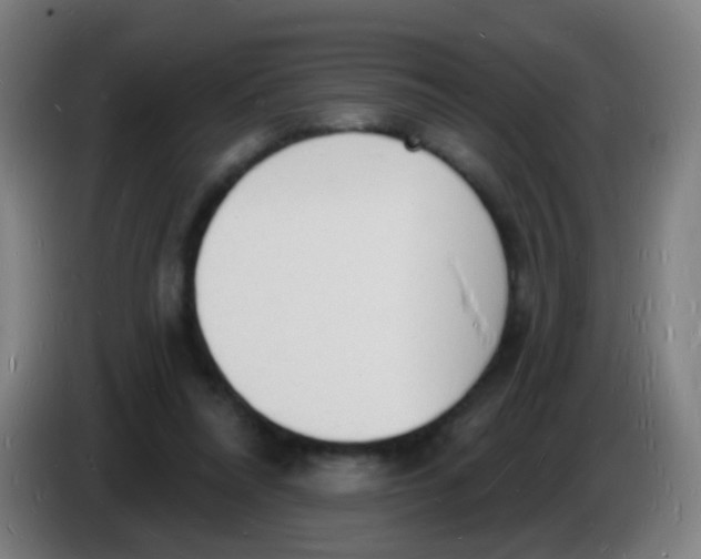 X0000085280304200703301922