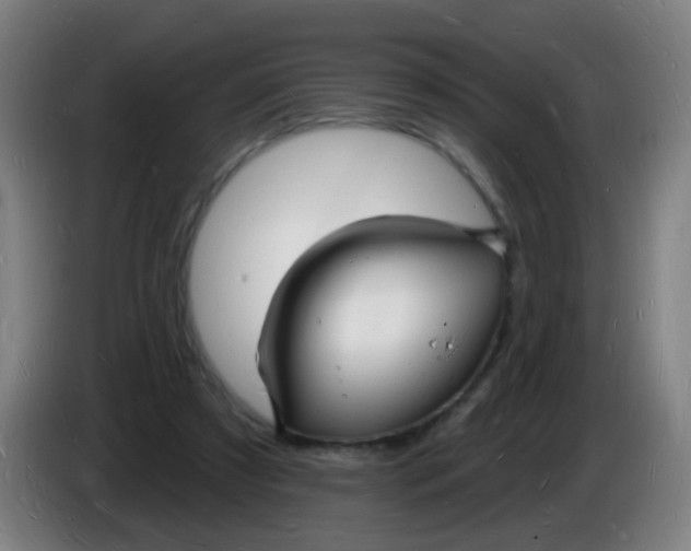 X0000085280305200703301922